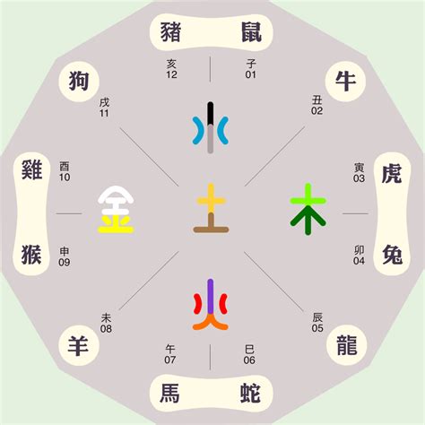 辰字五行|辰字的五行属性